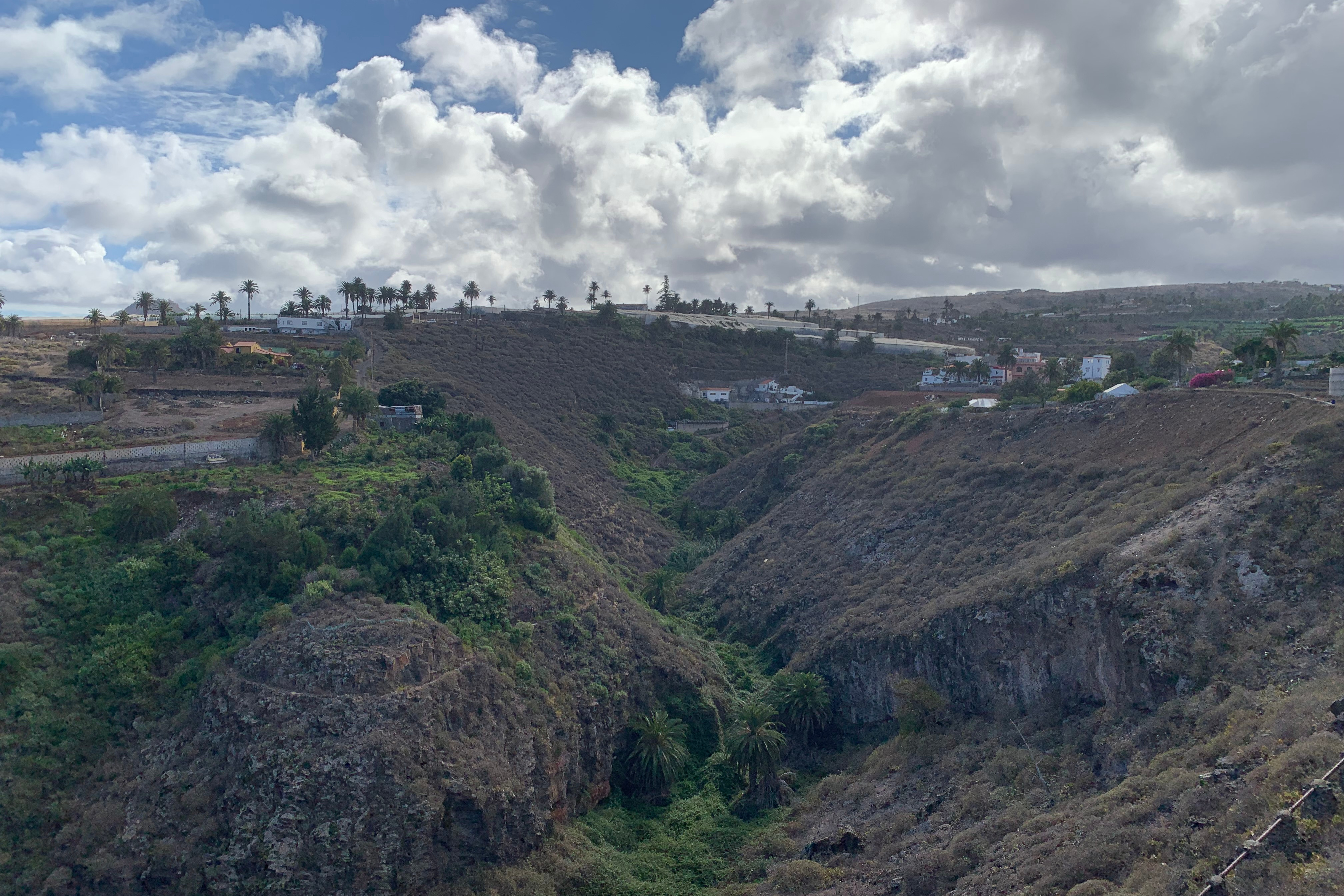 barranco with palm trees and green plants in it, dry landscape around, and a village in the background